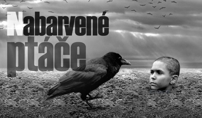 WEB ptače.PNG