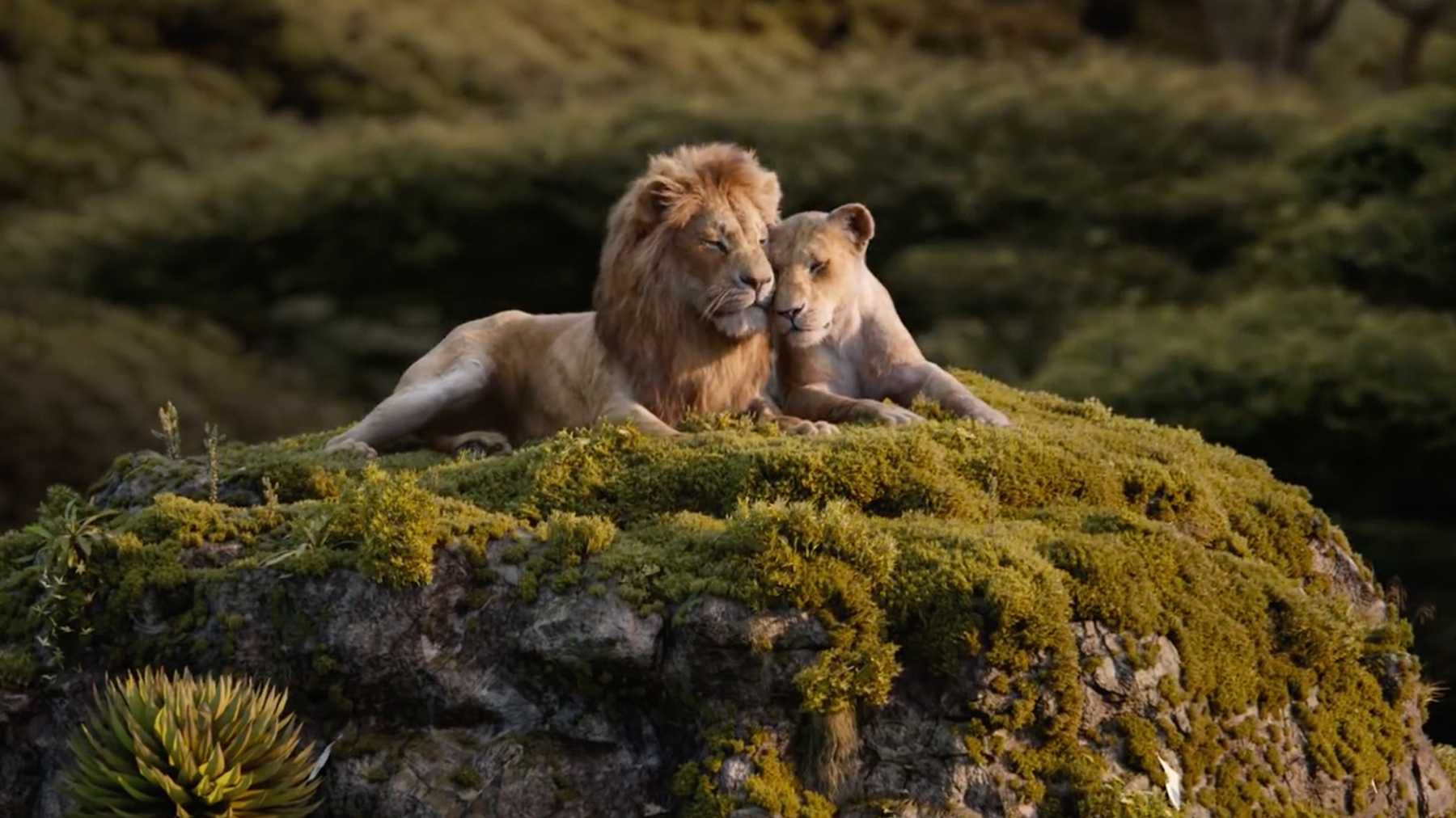 lion-king-simba-nala.jpg